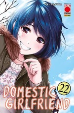 Domestic Girlfriend